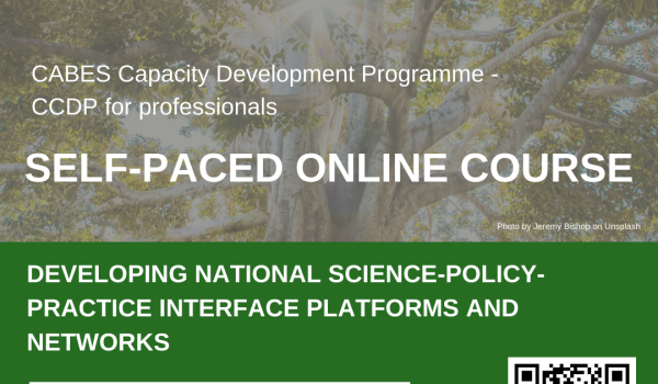 Visual Platforms_ ENus